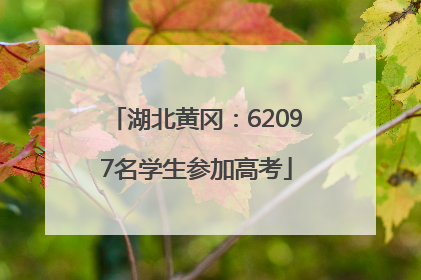 湖北黄冈：62097名学生参加高考