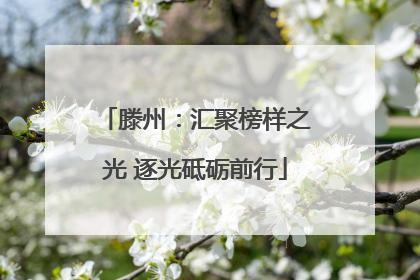 滕州：汇聚榜样之光 逐光砥砺前行