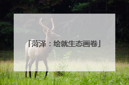 菏泽：绘就生态画卷