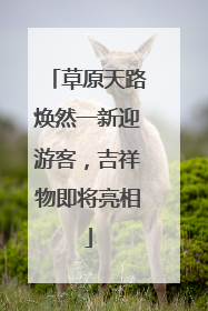 草原天路焕然一新迎游客，吉祥物即将亮相