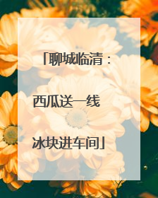 聊城临清：西瓜送一线 冰块进车间