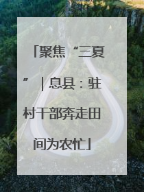 聚焦“三夏”｜息县：驻村干部奔走田间为农忙
