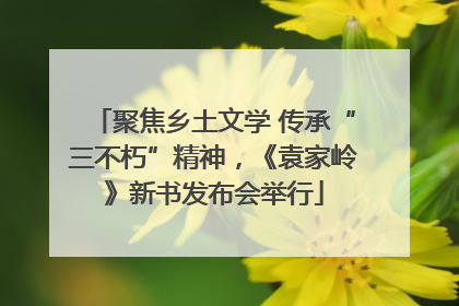 聚焦乡土文学 传承“三不朽”精神，《袁家岭》新书发布会举行