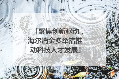聚焦创新驱动，海尔消金多举措推动科技人才发展