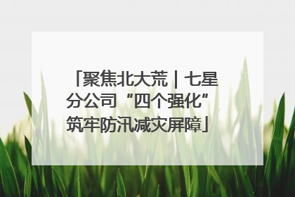 聚焦北大荒｜七星分公司“四个强化”筑牢防汛减灾屏障