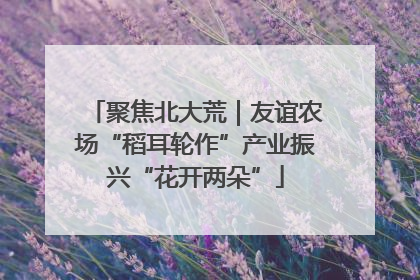聚焦北大荒｜友谊农场“稻耳轮作”产业振兴“花开两朵”