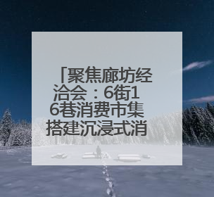 聚焦廊坊经洽会：6街16巷消费市集搭建沉浸式消费体验新场景