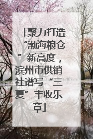 聚力打造“渤海粮仓”新高度，滨州市供销社谱写“三夏”丰收乐章