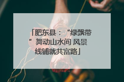 肥东县：“绿飘带”舞动山水间 风景线铺就共富路