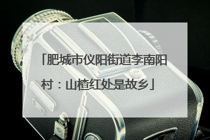 肥城市仪阳街道李南阳村：山楂红处是故乡