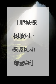 肥城槐树坡村：槐坡风动绿藤新