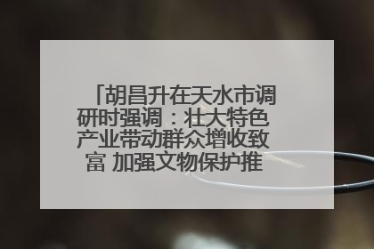 胡昌升在天水市调研时强调：壮大特色产业带动群众增收致富 加强文物保护推动文化创新发展