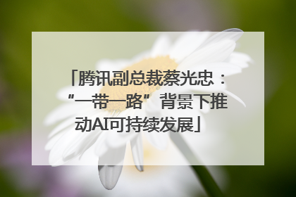 腾讯副总裁蔡光忠：“一带一路”背景下推动AI可持续发展