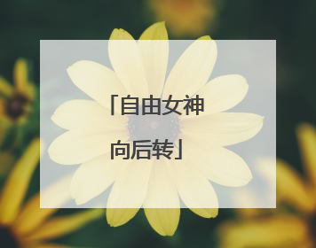 自由女神向后转