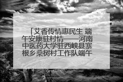 艾香传情惠民生 端午安康驻村情——河南中医药大学驻西峡县寨根乡桑树村工作队端午中医惠民记