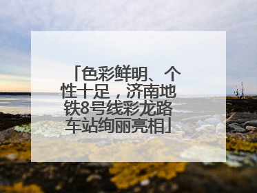 色彩鲜明、个性十足，济南地铁8号线彩龙路车站绚丽亮相