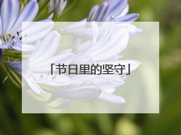 节日里的坚守
