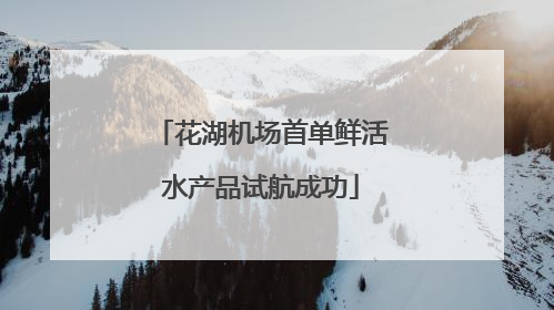 花湖机场首单鲜活水产品试航成功
