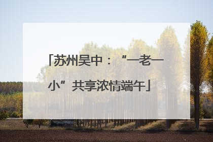 苏州吴中：“一老一小”共享浓情端午