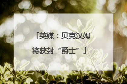 英媒：贝克汉姆将获封“爵士”