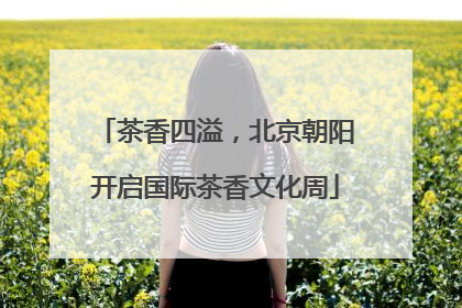 茶香四溢，北京朝阳开启国际茶香文化周