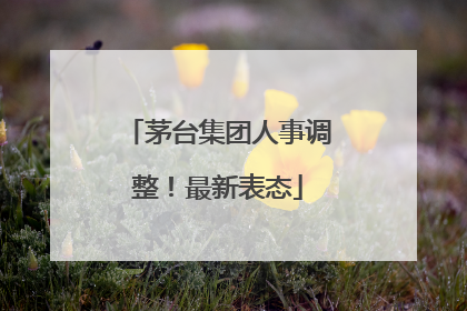 茅台集团人事调整！最新表态