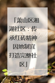 萧山区湘湖社区：传承红砖精神 因地制宜打造完整社区