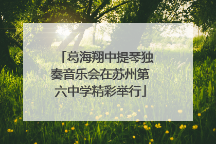 葛海翔中提琴独奏音乐会在苏州第六中学精彩举行
