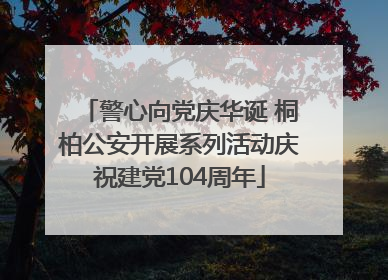 警心向党庆华诞 桐柏公安开展系列活动庆祝建党104周年
