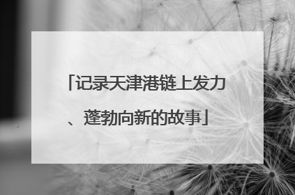 记录天津港链上发力、蓬勃向新的故事