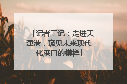 记者手记：走进天津港，窥见未来现代化港口的模样