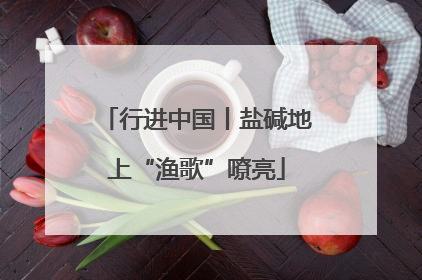 行进中国丨盐碱地上“渔歌”嘹亮