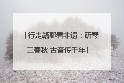 行走赣鄱看非遗：斫琴三春秋 古音传千年