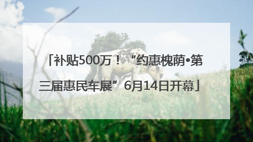 补贴500万！“约惠槐荫•第三届惠民车展”6月14日开幕