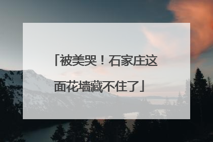 被美哭！石家庄这面花墙藏不住了