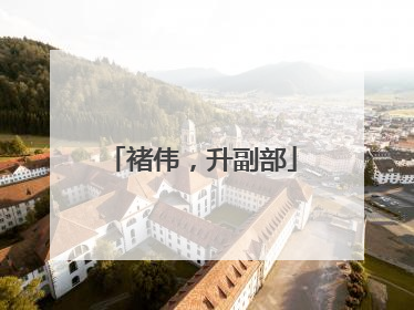 褚伟，升副部