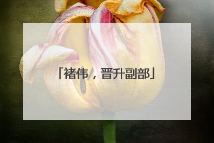 褚伟，晋升副部