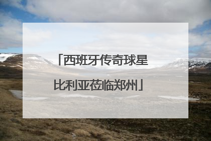 西班牙传奇球星 比利亚莅临郑州