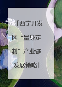 西宁开发区“量身定制”产业链发展策略