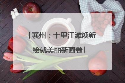 襄州：十里江滩焕新 绘就美丽新画卷