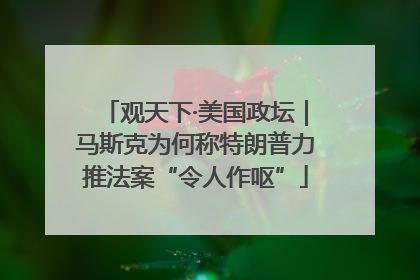 观天下·美国政坛｜马斯克为何称特朗普力推法案“令人作呕”
