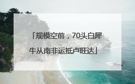 规模空前，70头白犀牛从南非运抵卢旺达