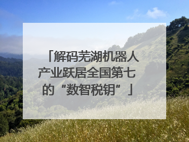 解码芜湖机器人产业跃居全国第七的“数智税钥”