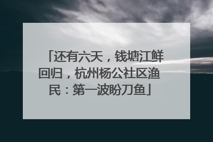还有六天，钱塘江鲜回归，杭州杨公社区渔民：第一波盼刀鱼