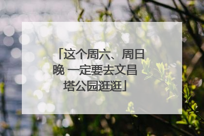 这个周六、周日晚 一定要去文昌塔公园逛逛