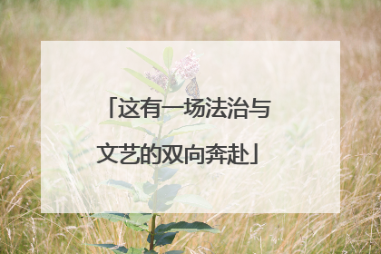 这有一场法治与文艺的双向奔赴
