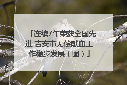 连续7年荣获全国先进 吉安市无偿献血工作稳步发展（图）