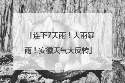 连下7天雨！大雨暴雨！安徽天气大反转