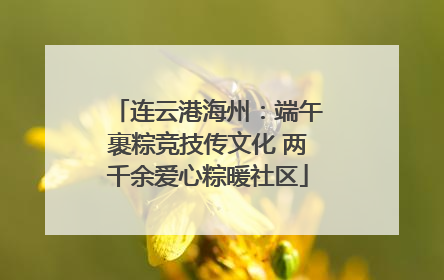 连云港海州：端午裹粽竞技传文化 两千余爱心粽暖社区