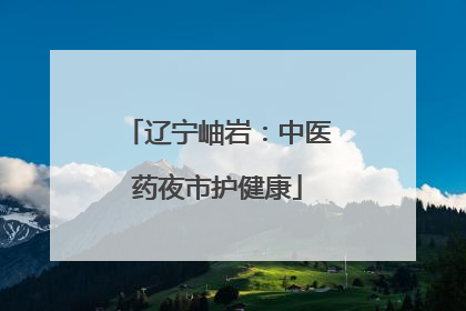 辽宁岫岩：中医药夜市护健康